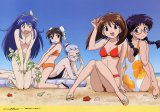 BUY NEW narue no sekai - 4057 Premium Anime Print Poster